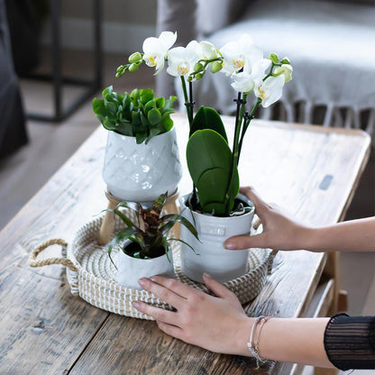 Handgemaakte Keramieken Bloempot Wit Ø9 cm