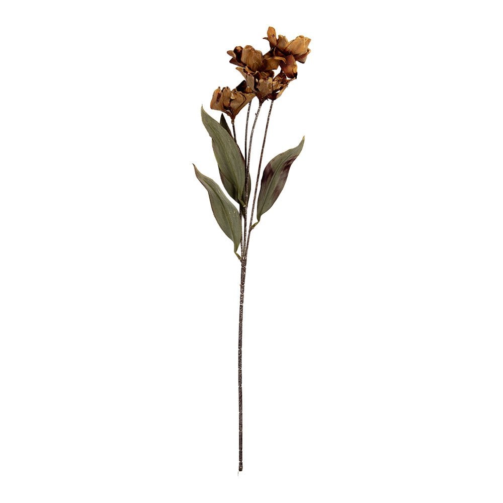 Artificial Flower 8x5x60 cm Brown Plastic