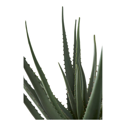Kunstplant Aloë Vera 51x30.5x30.5 cm groen