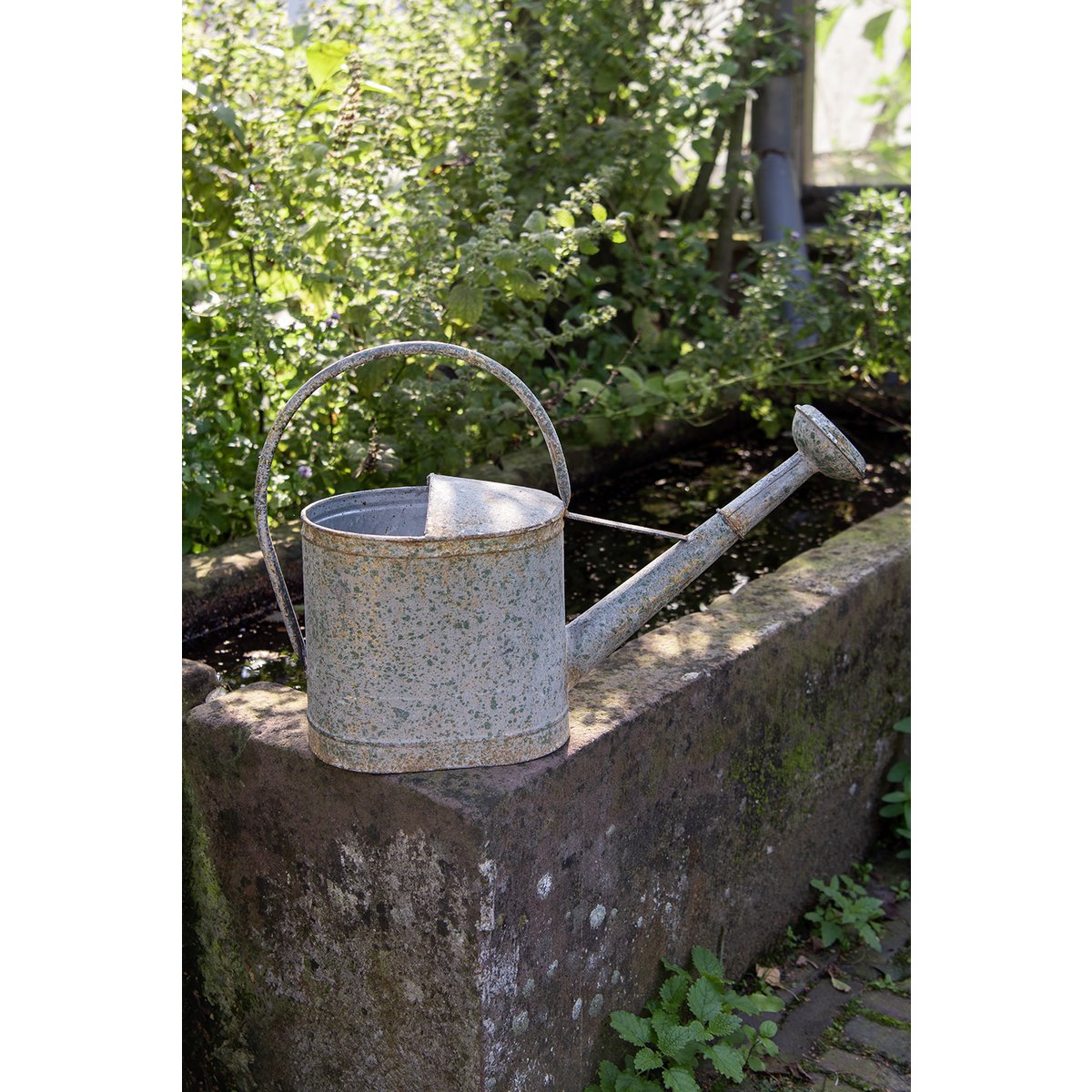 Decoratie gieter 50x16x33 cm grijs groen metaal