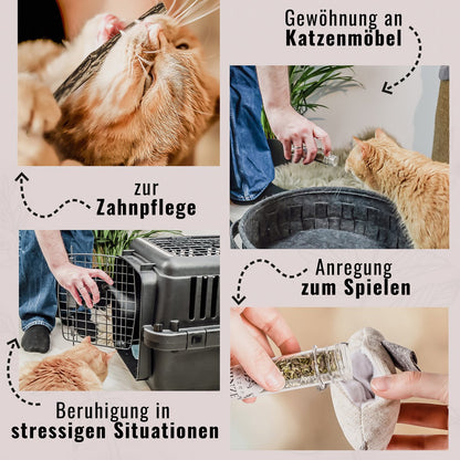 NE & NO® Gift Set Cats Well -being Herbs: Catnint + Valerian Spray + Matatabi Sticks