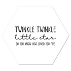 Wanddecoratie hexagon 24x20 cm wit Dibond