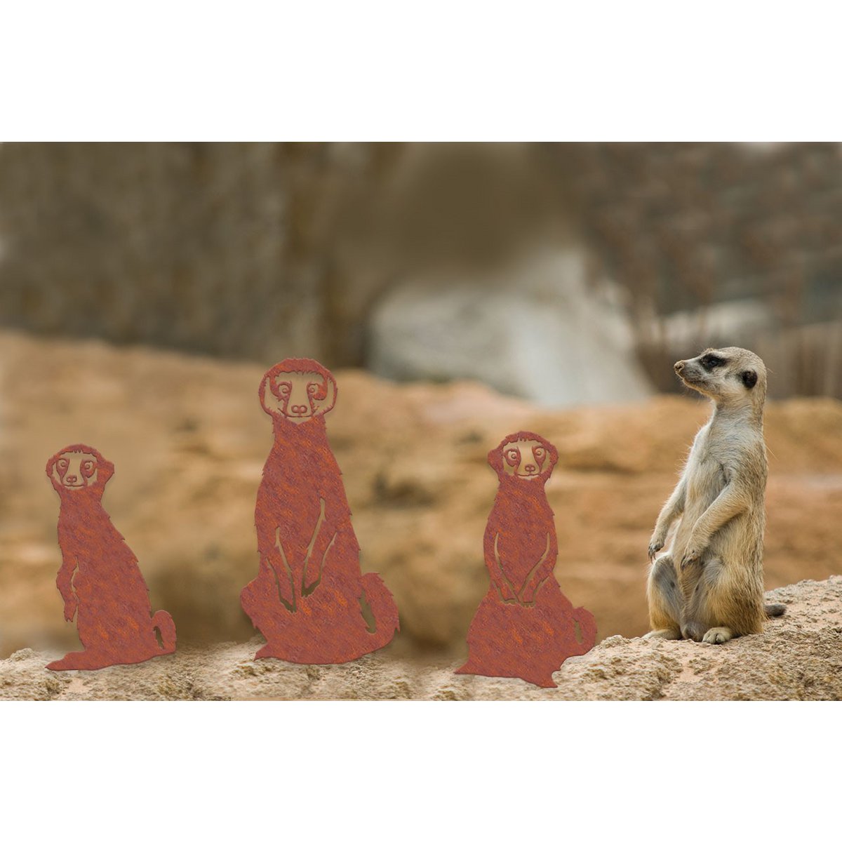 Geluksdieren Stokstaartjes Familie Ricci Ruby Rocky Set 3
