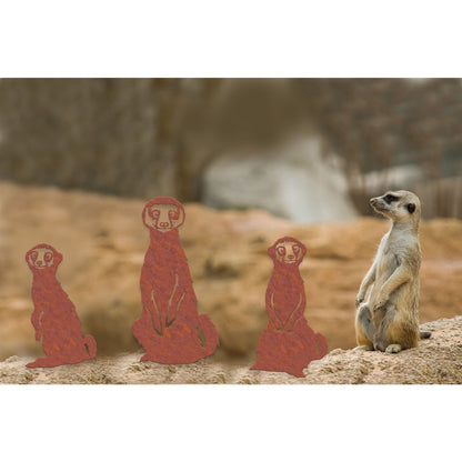 Geluksdieren Stokstaartjes Familie Ricci Ruby Rocky Set 3
