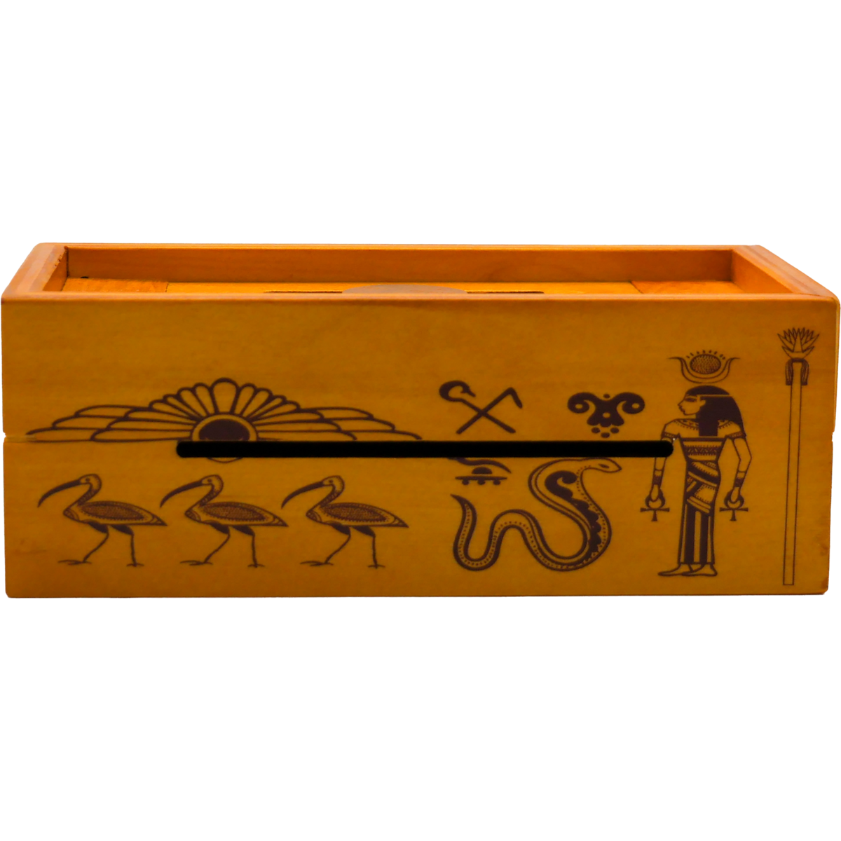 Houten puzzel breinbreker Pharaoh's Tomb