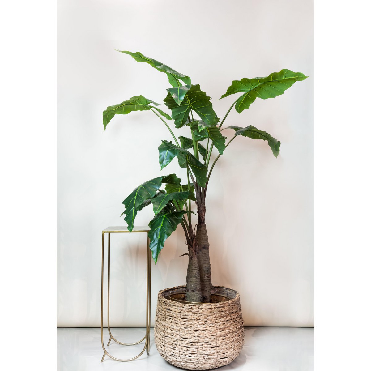 Kunstplant Alocasia 180 cm