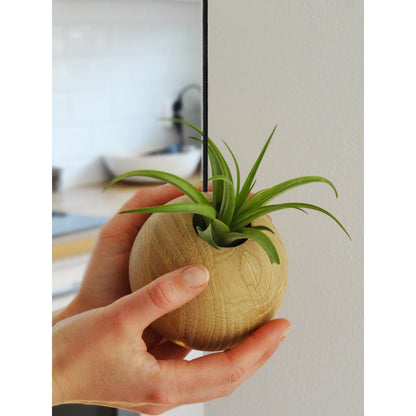 Hangbol licht eiken Ø10 cm