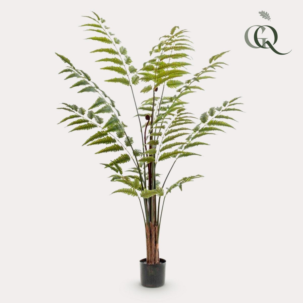 Kunstplant Ledervaren 150 cm
