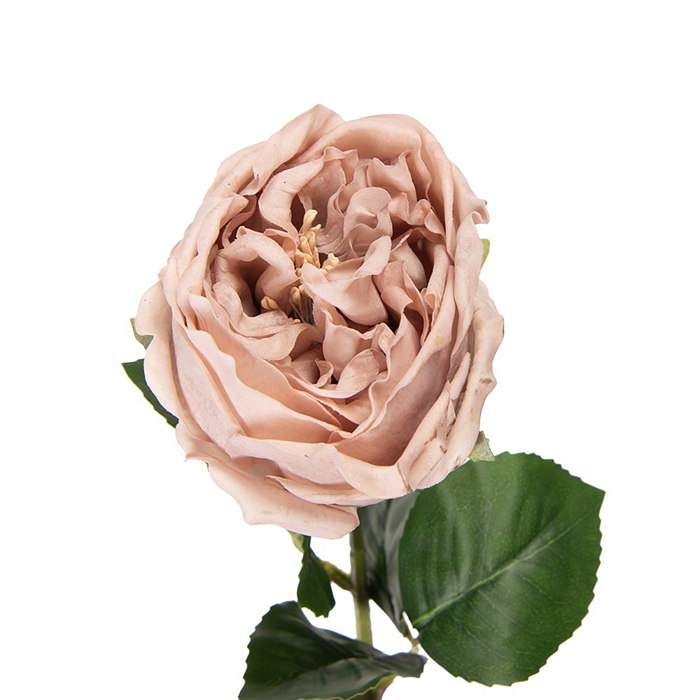 Artificial Flower Rose 43 cm Beige Plastic
