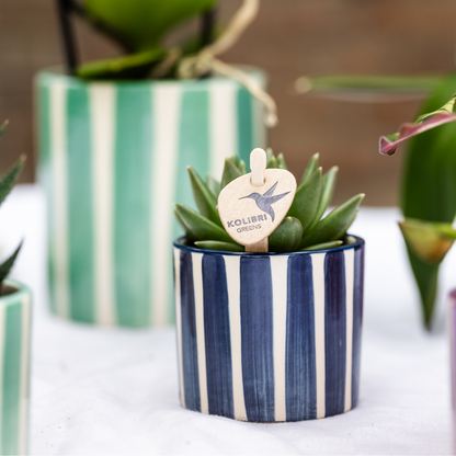 Sierpot keramiek Ø6 cm blauw streep