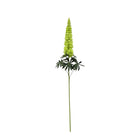 Lupinus Micranthus Green | Silk Artificial Flower | Length 105cm
