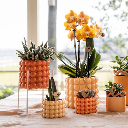 Plantenstandaard metaal rond 14 cm