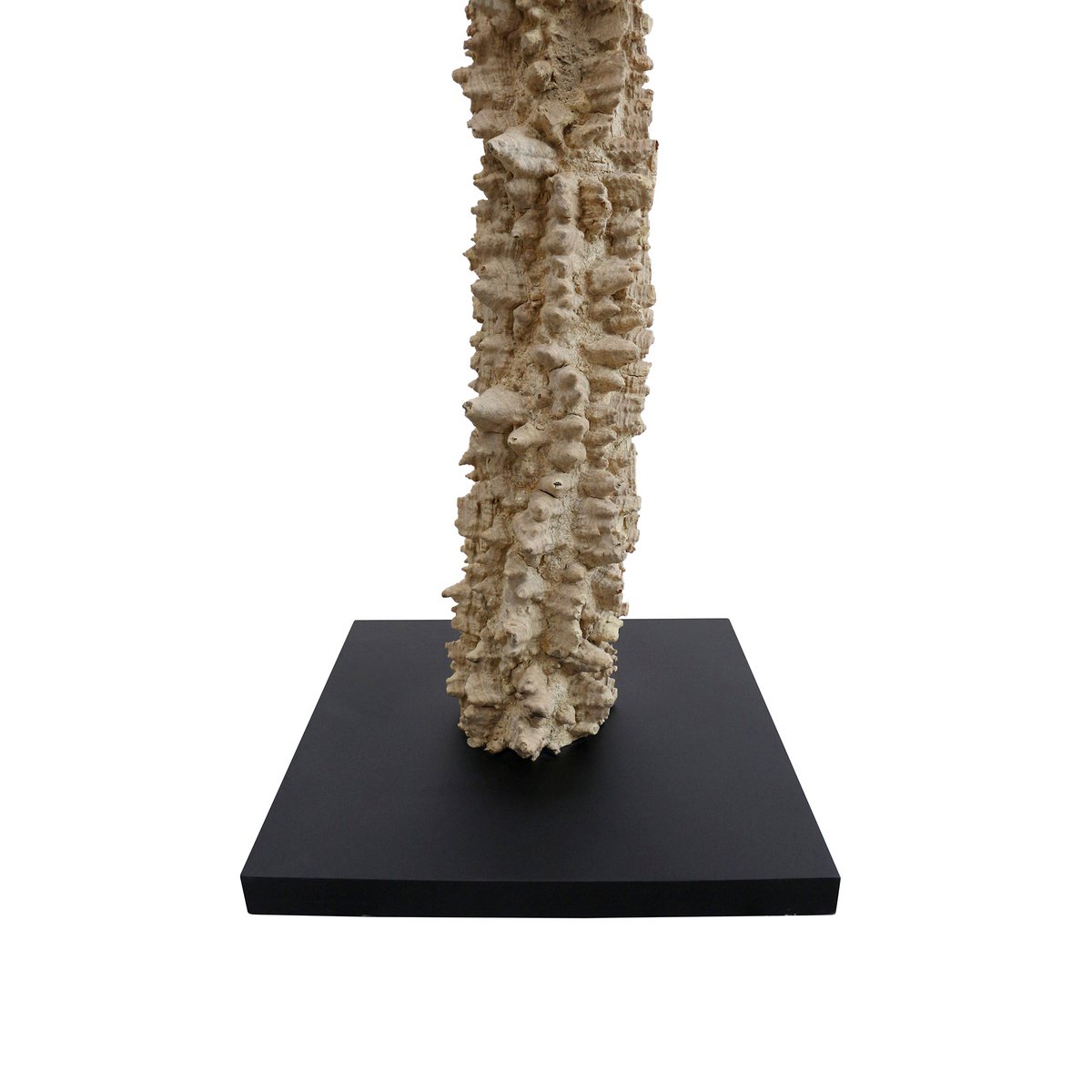 Floor lamp driftwood natural/white 150 cm