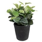 Flowerpot Ø 16x16 cm Grey Ceramic Indoor Flowerpot