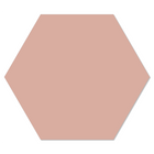 Wanddecoratie hexagon 24x20 cm zalm Dibond