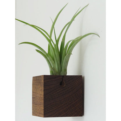 Cube - Dark oak