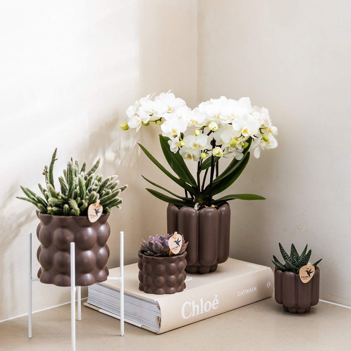 Brown ceramic decorative pot - Ø6 cm