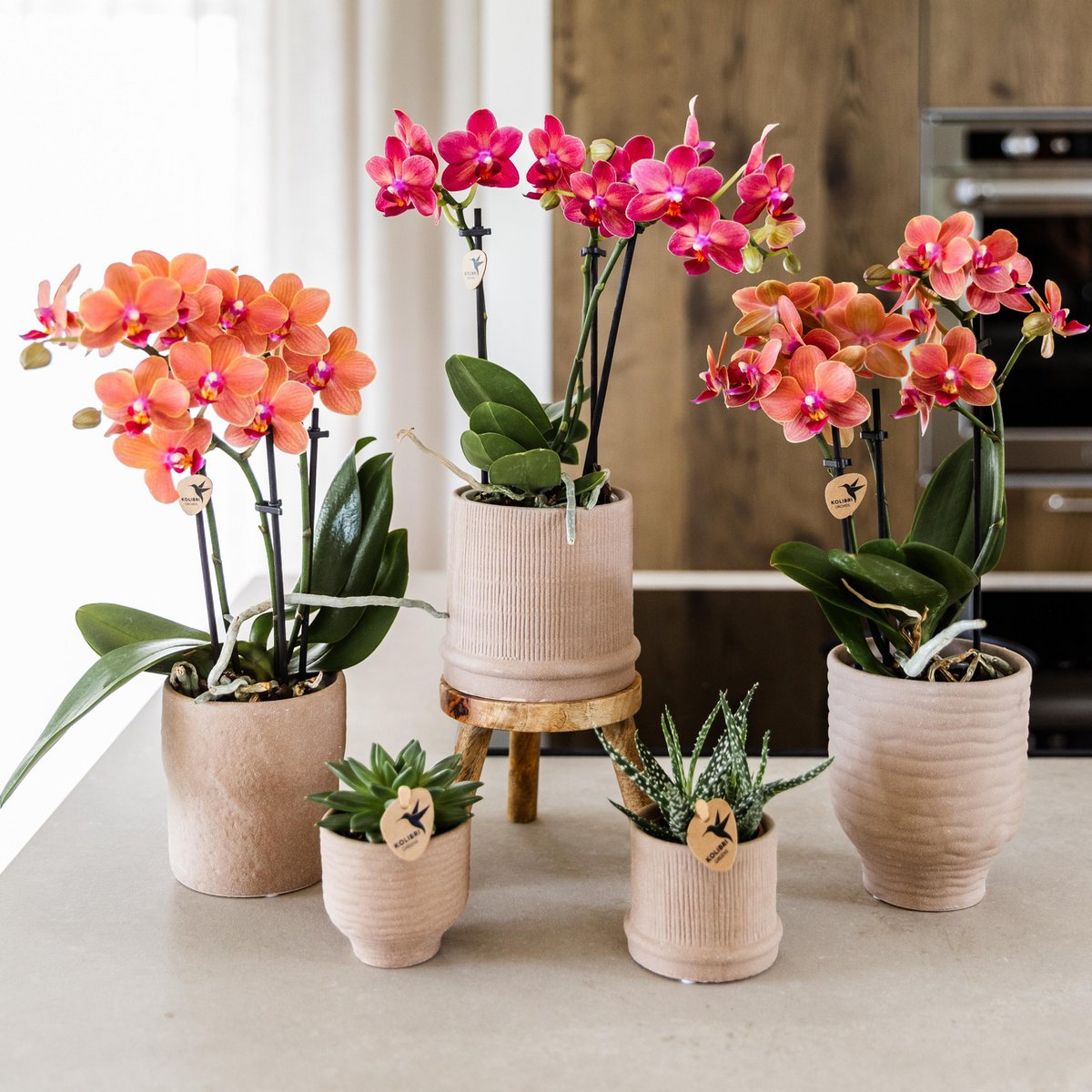 Plantenstandaard hout rond 12 cm