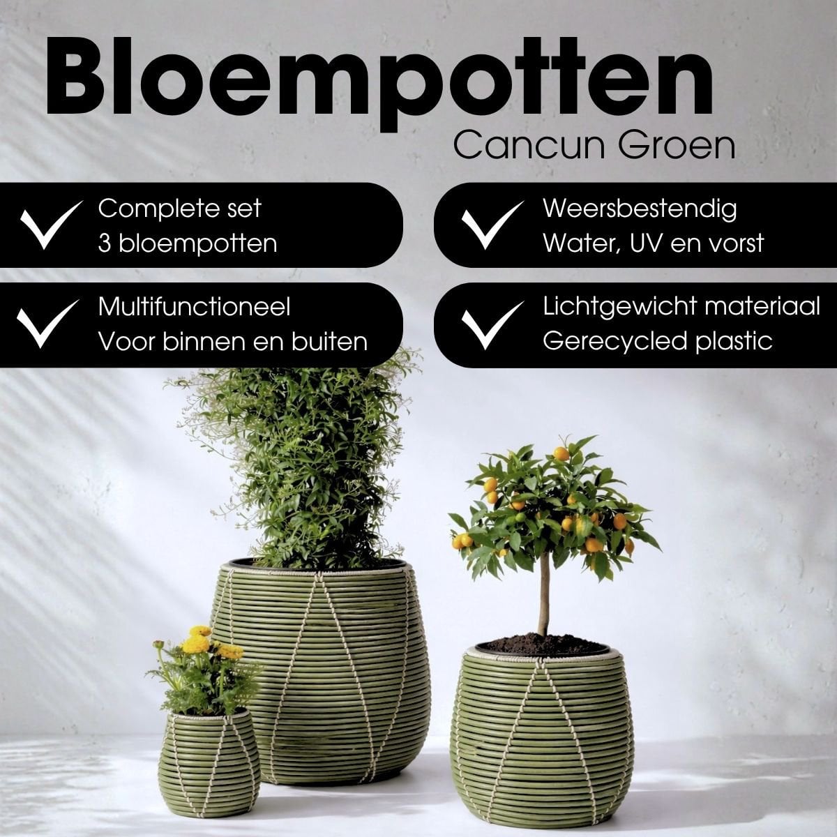 Bloempot Cancun lichtgroen set