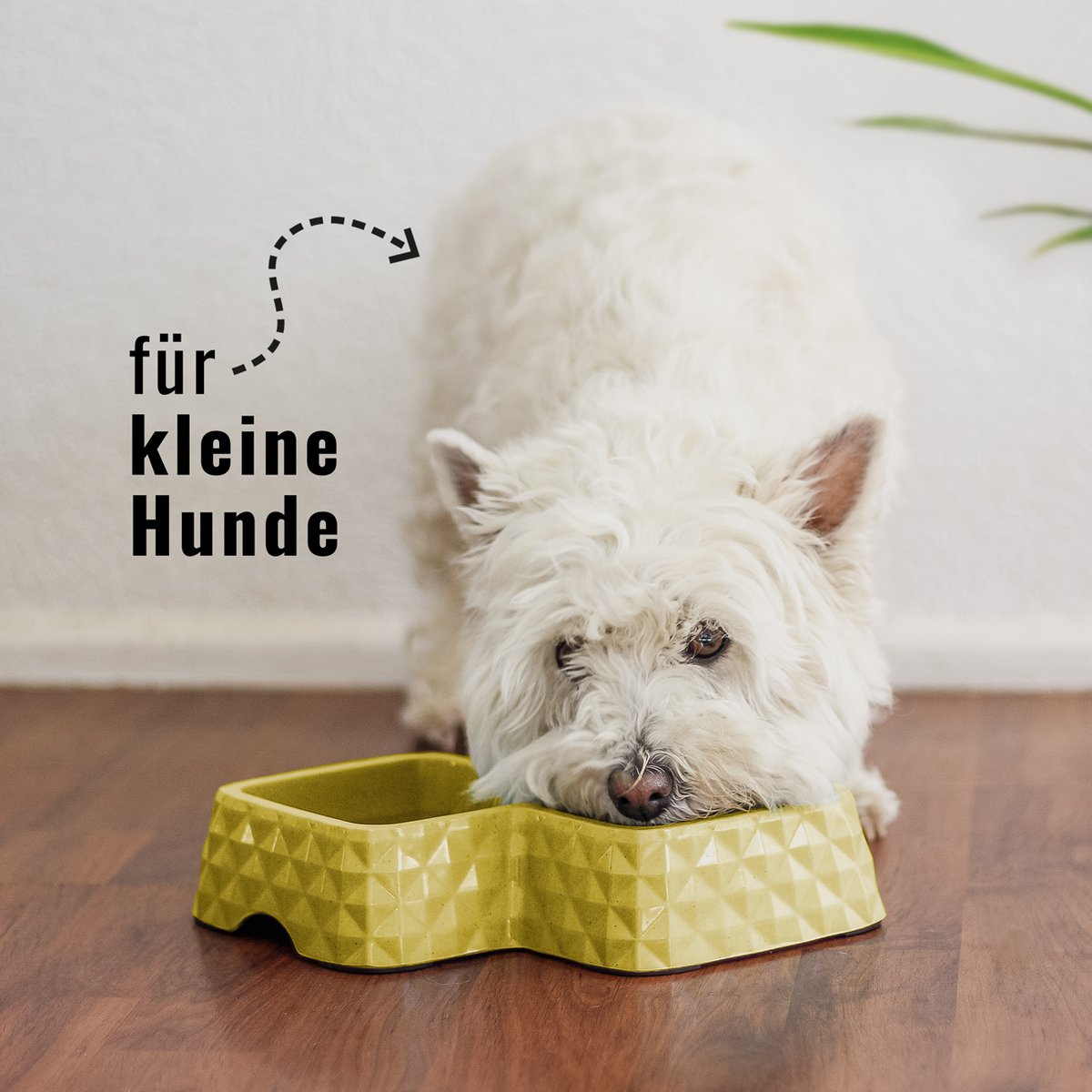 NE & NO® Bamboo Double Bowl for Cats and Dogs