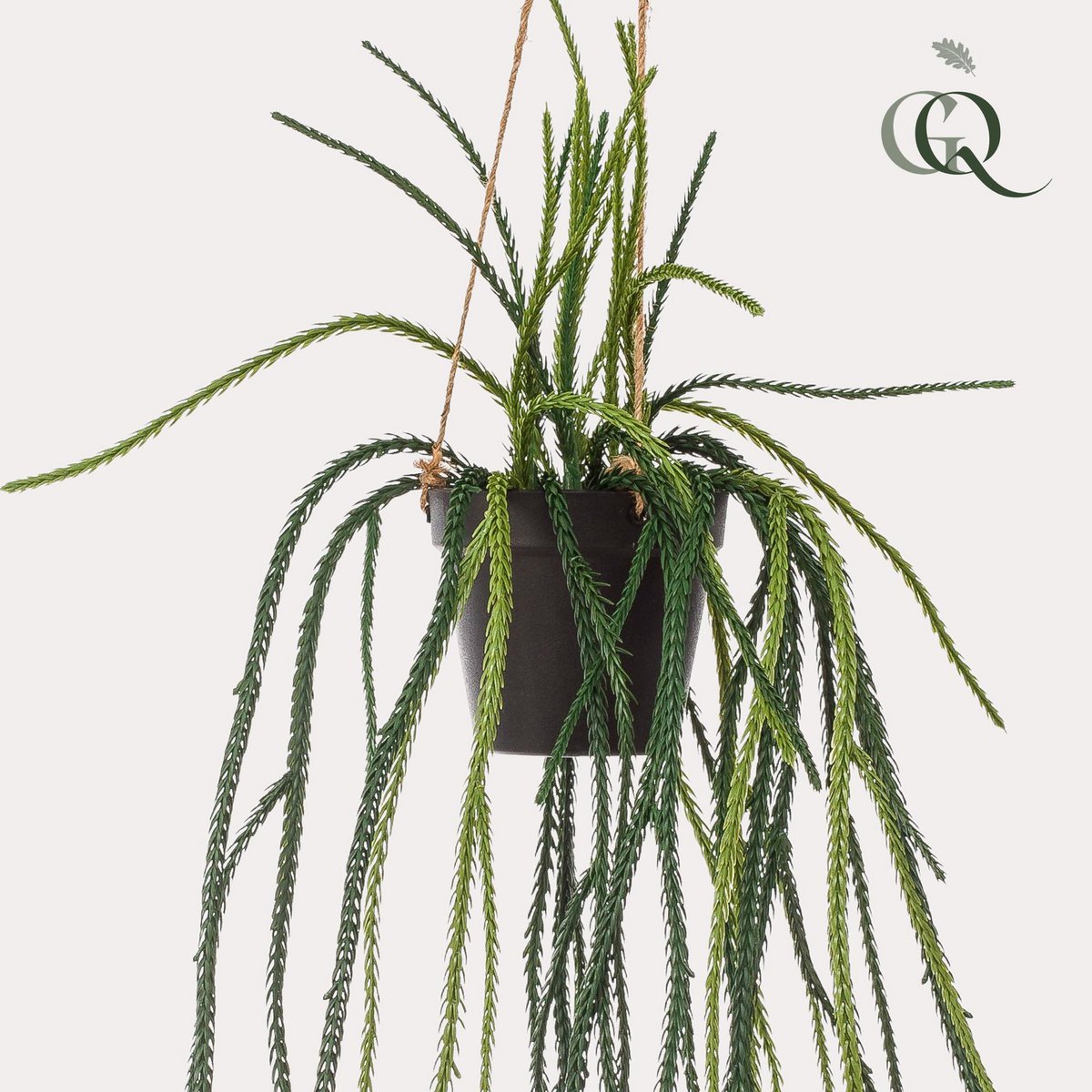 Kunstplant Rhypsalis Koraalcactus 85 cm