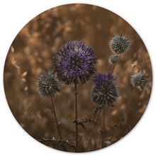 Muurcirkel purple peace Dibond 40 cm
