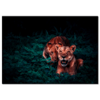 Wall rectangle lion couple