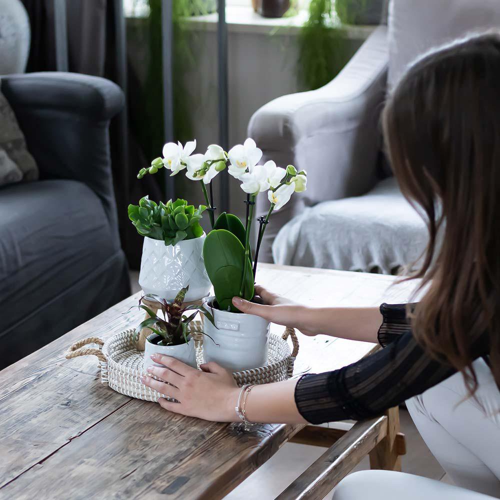 Handgemaakte Keramieken Bloempot Wit Ø9 cm