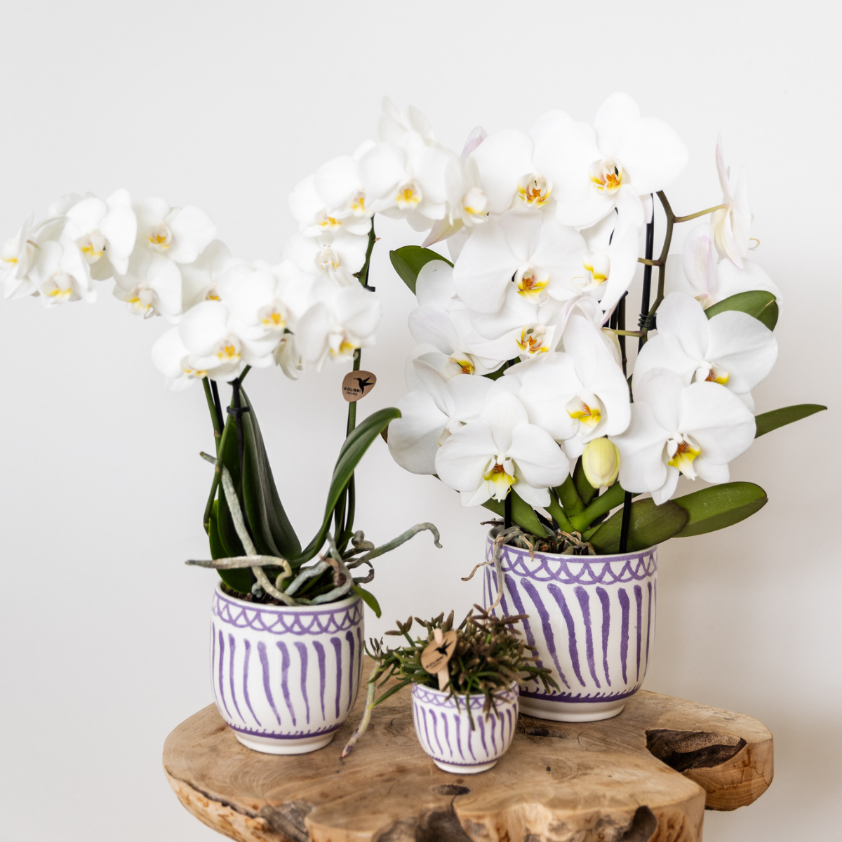 Ceramic Granada Decorative Pot - Lilac, Ø6 cm