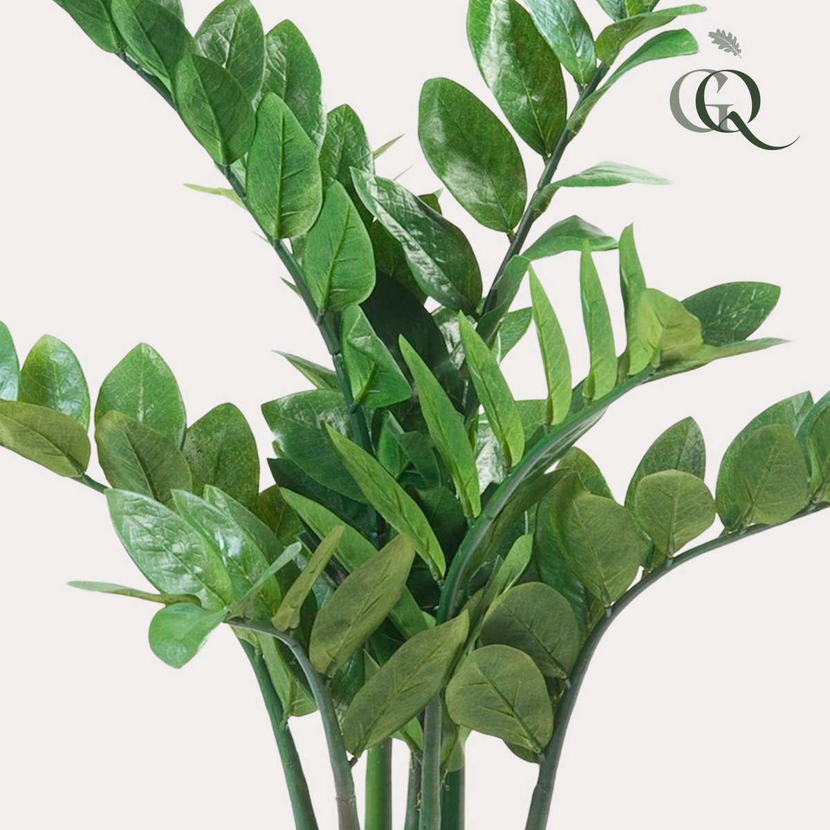 Kunstplant Zamioculcas 70 cm