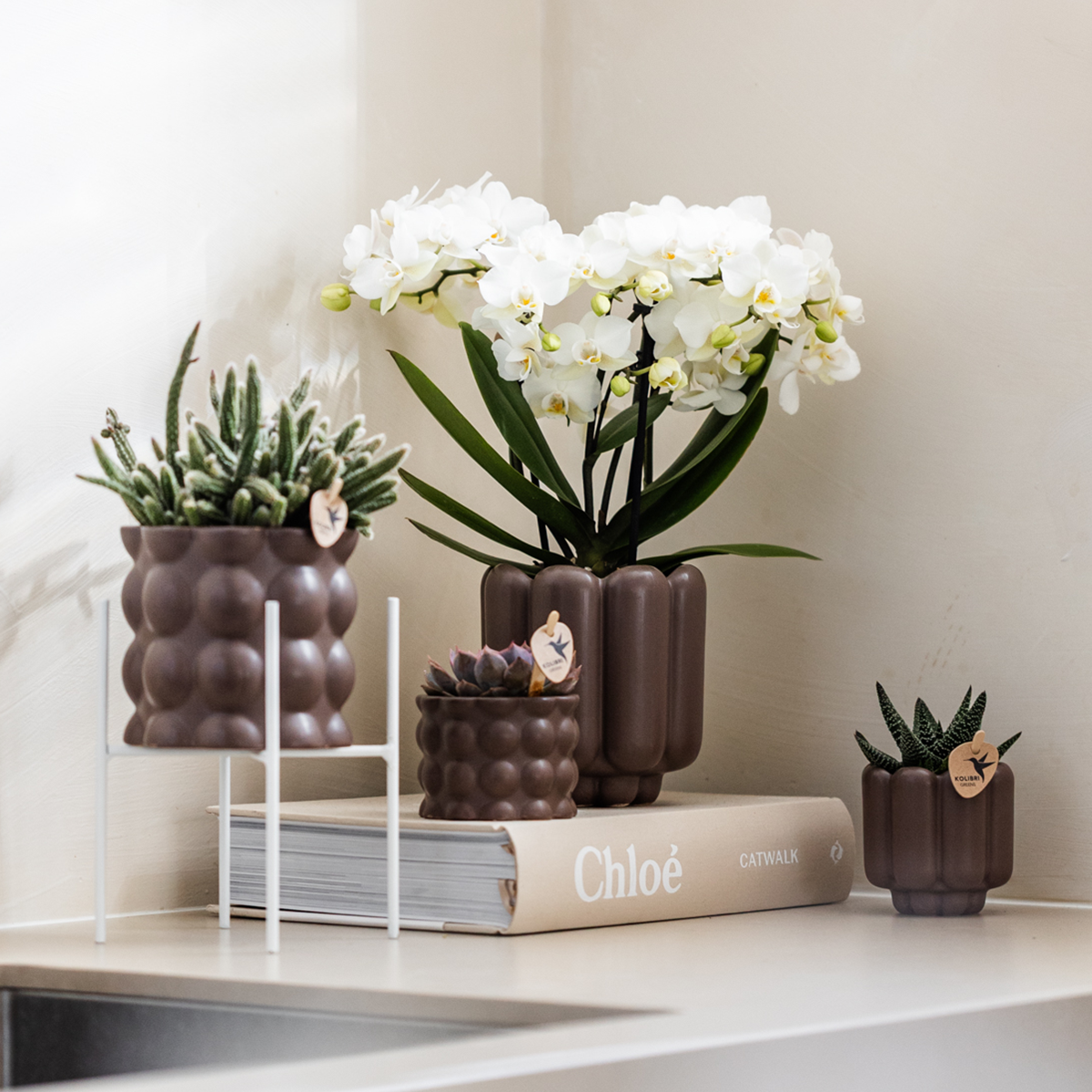Brown ceramic decorative pot - Ø6 cm