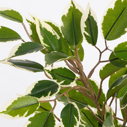 Kunstplant Ficus Natasja 40 cm groen
