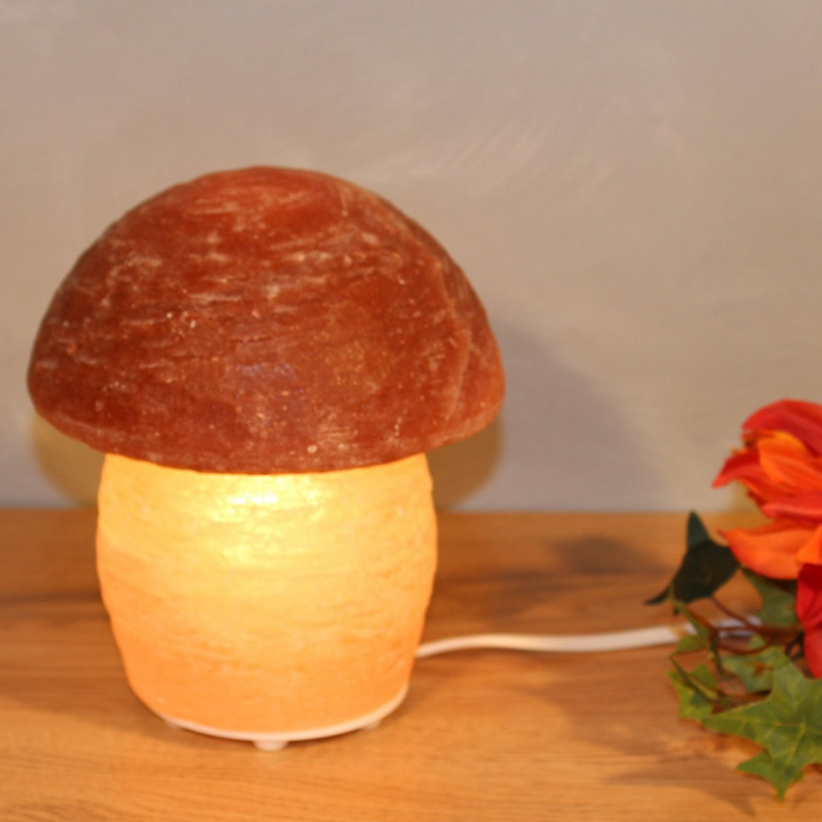 Himalaya Zoutlamp Paddestoel 16 Cm Hoog Handgemaakt