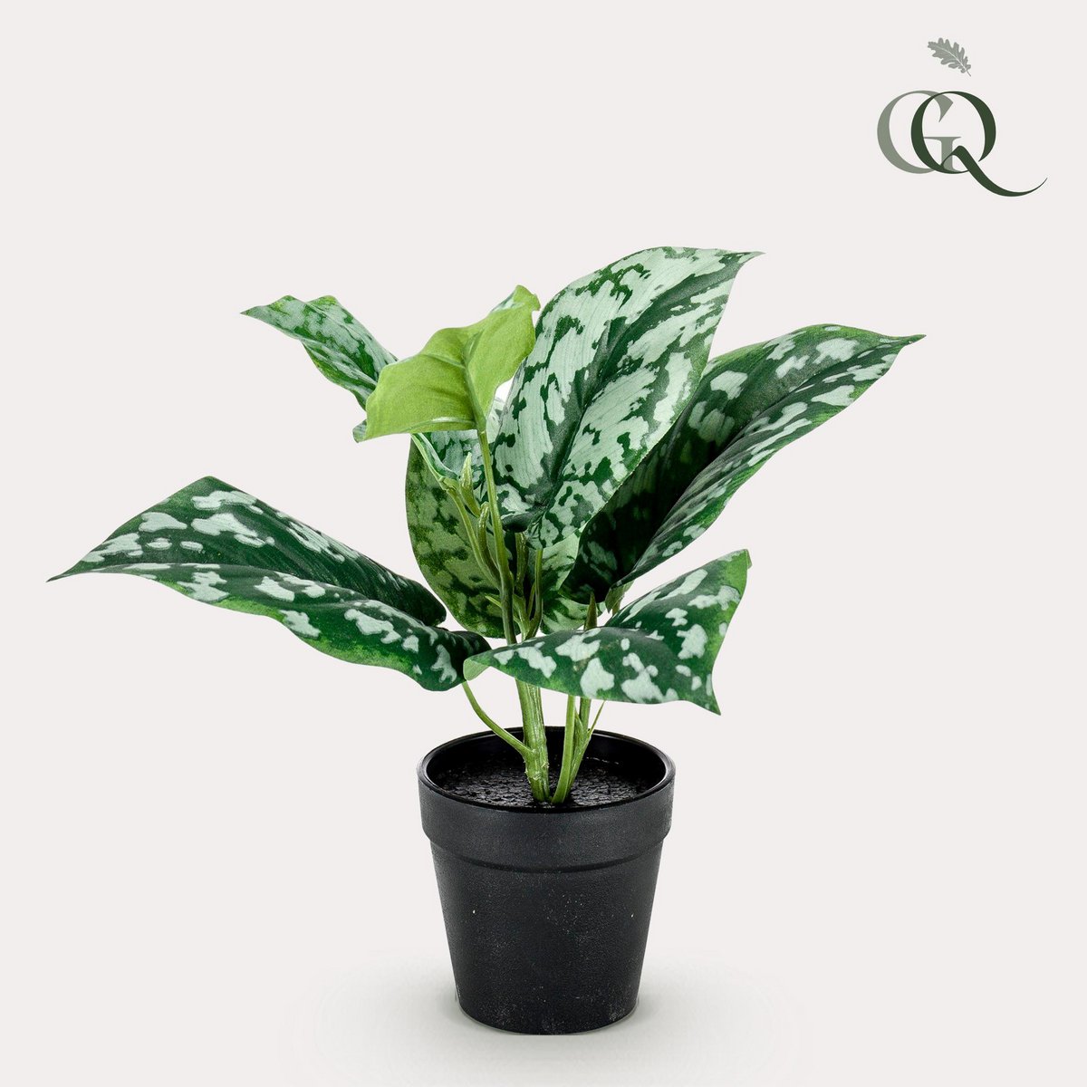 Artificial plant - Scindapsus Pictus - Lucky plant - 30 cm