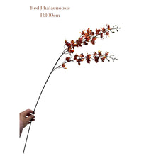 Kunstbloem Phalaenopsis 100 cm rood