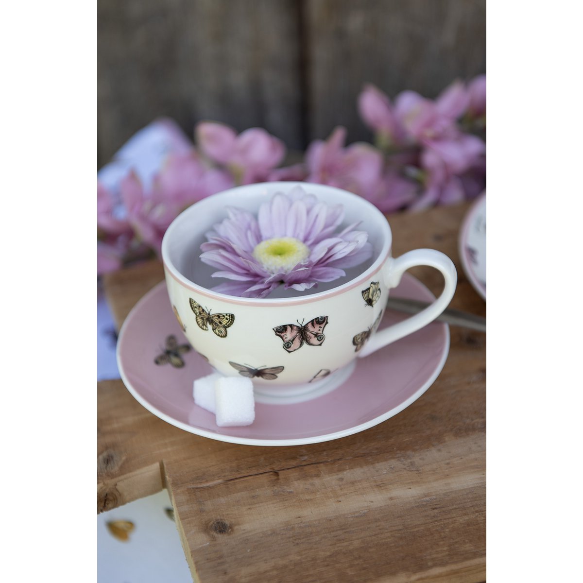 Kop en schotel 200 ml porselein wit roze