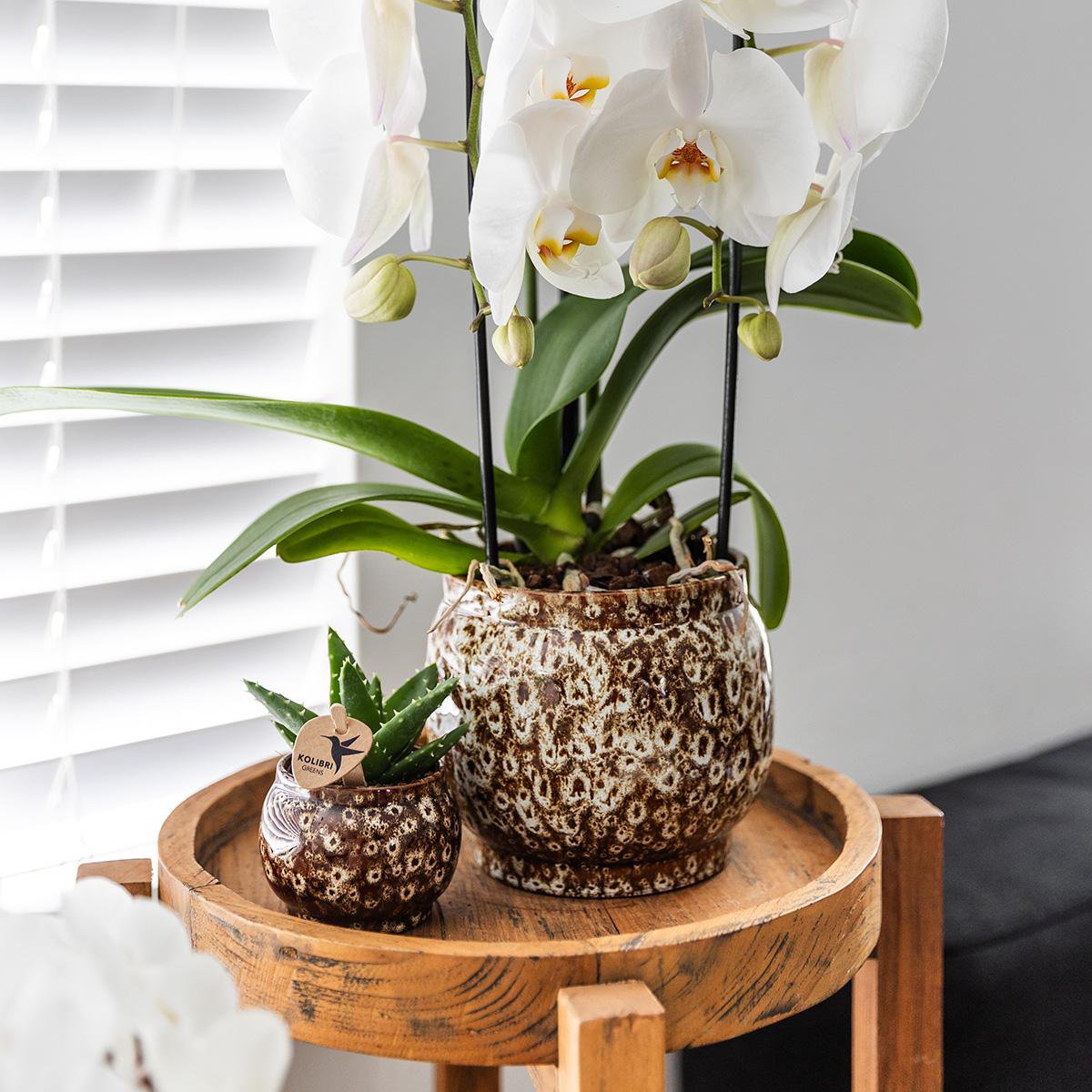 Plantenpot keramiek beige Ø12 cm