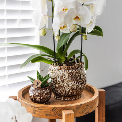 Plantenpot keramiek beige Ø12 cm