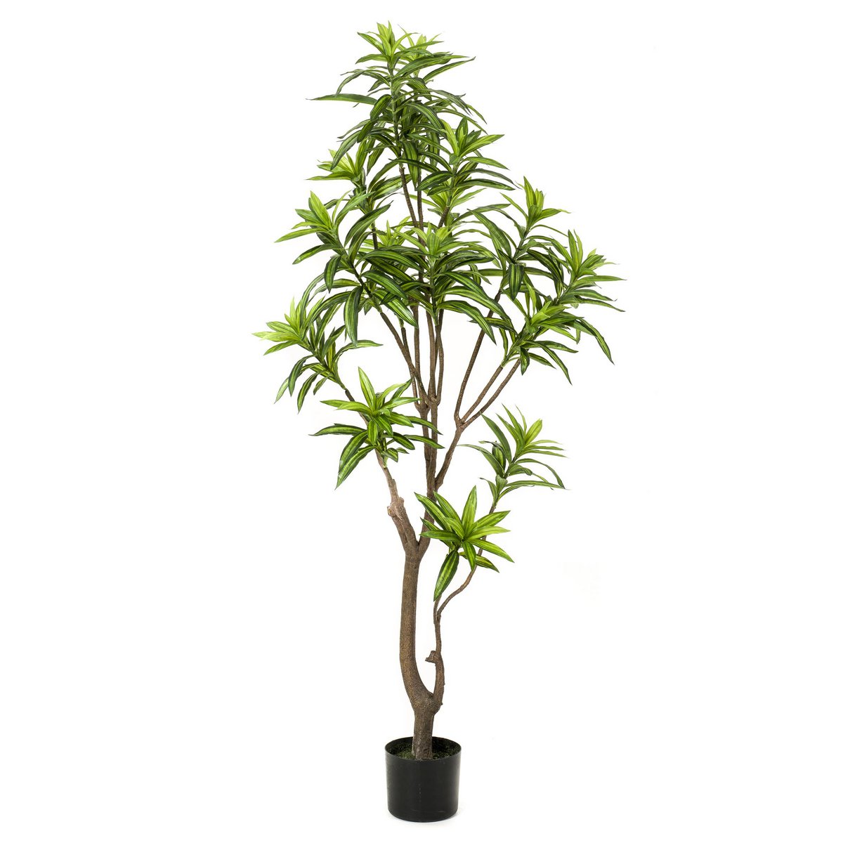Kunstplant Dracaena 155 cm tweekleurig groen