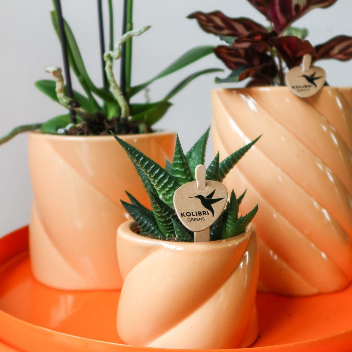 Sierpot keramiek peach Ø6 cm