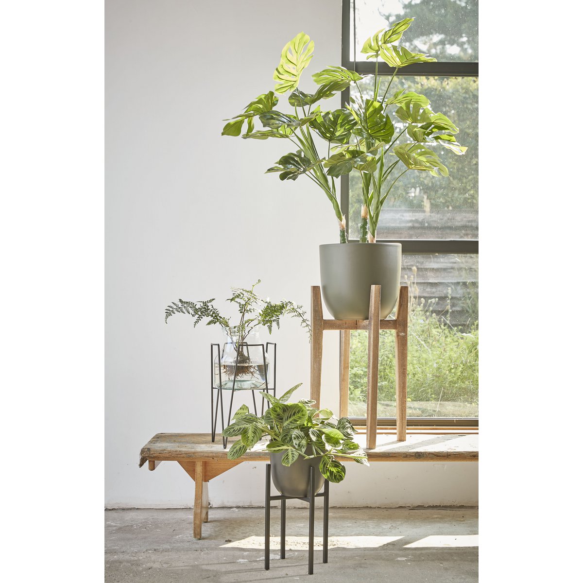 Plant Stand Ascot Black
