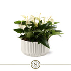 Pot 18 cm keramiek wit