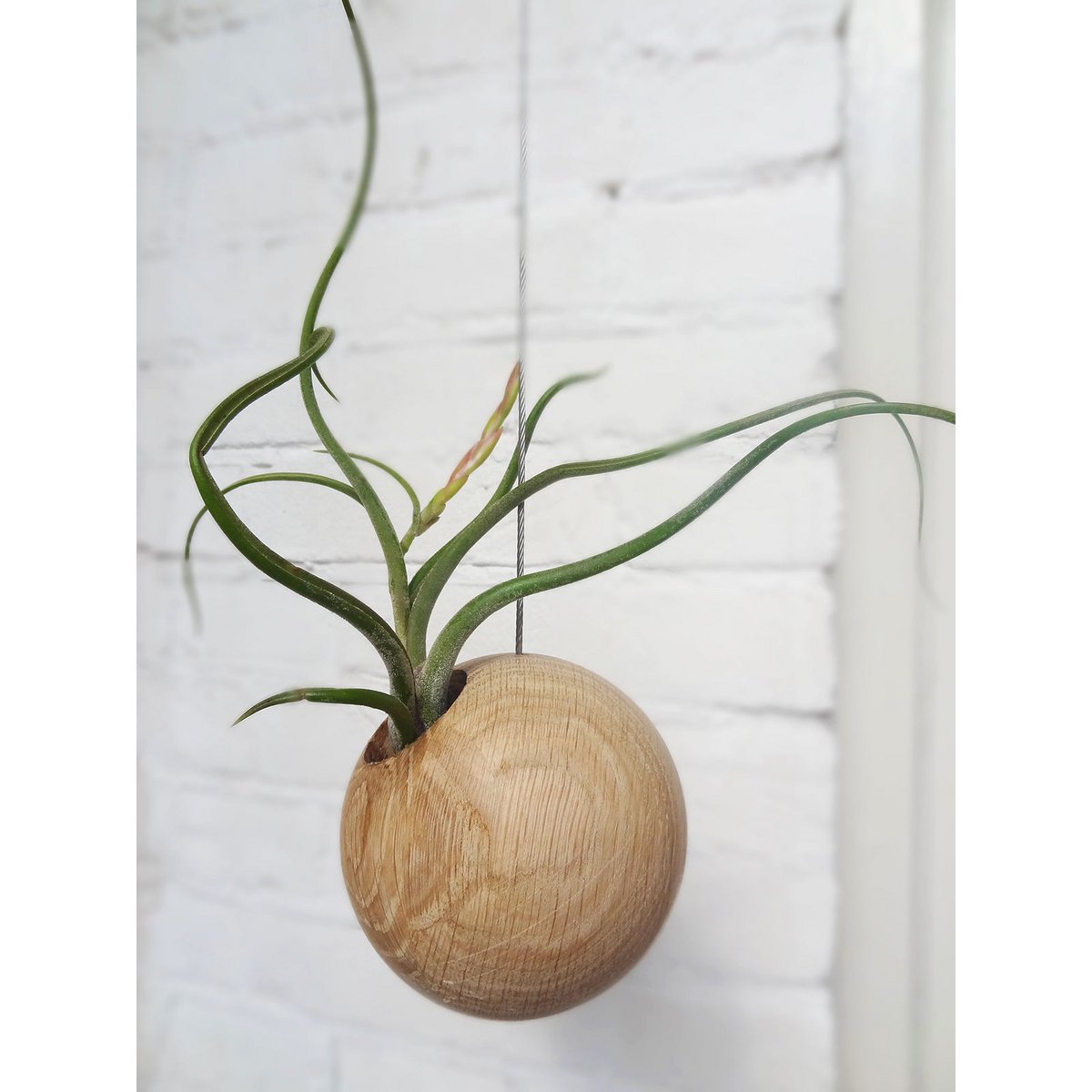 Hangbol licht eiken Ø10 cm