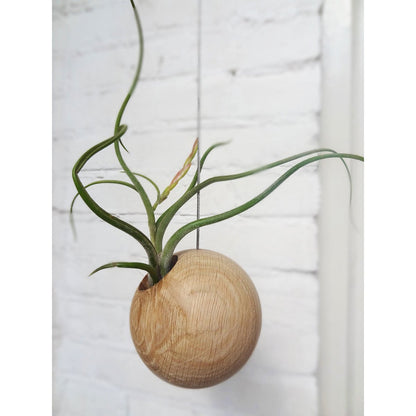 Hangbol licht eiken Ø10 cm