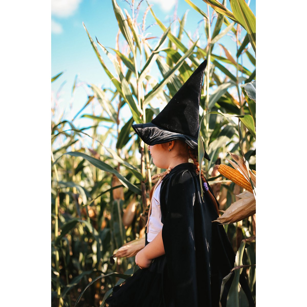 Witch's Hat 'Black Magic'