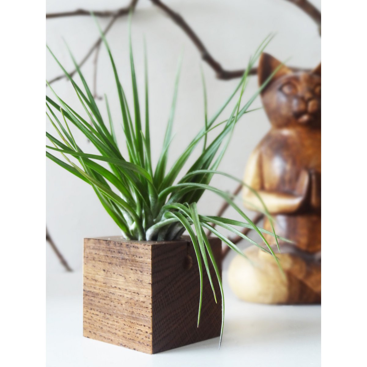 Cube - Dark oak