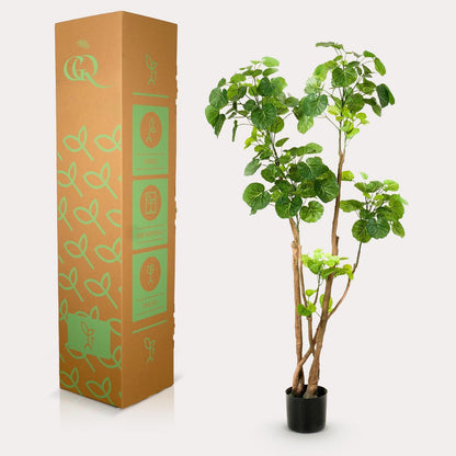 Kunstplant Polyscias Aralia 135 cm