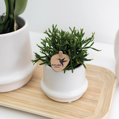Oval Bamboo Tray – 30 cm wide