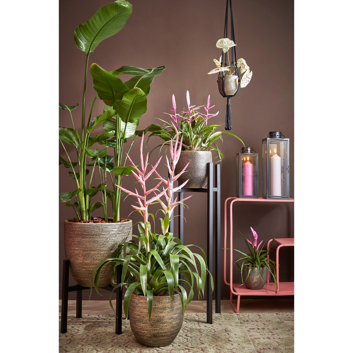 Plantenstandaard metaal 95 cm zwart