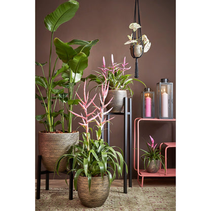 Plantenstandaard metaal 95 cm zwart